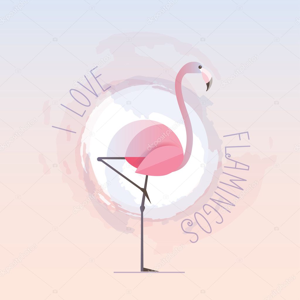 I love flamingos text and flamingo 