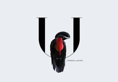 U harfi Umbrellabird ile dekore edilmiştir. 