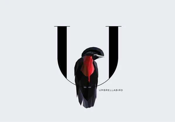 Letter U decorated with Umbrellabird — Stock Vector