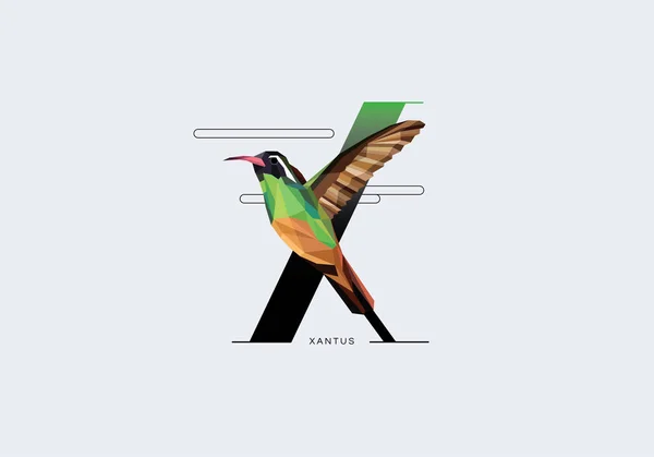 Letra X decorada con colibrí — Vector de stock