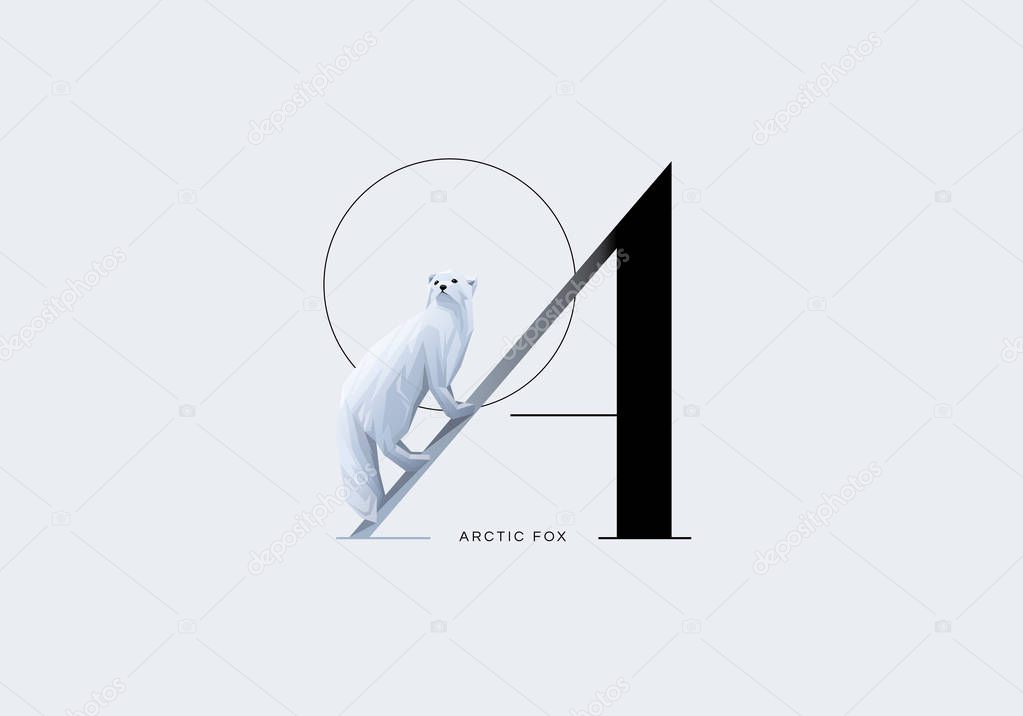 Letter A drop cap initial decorated with white arctic fox in minimal style