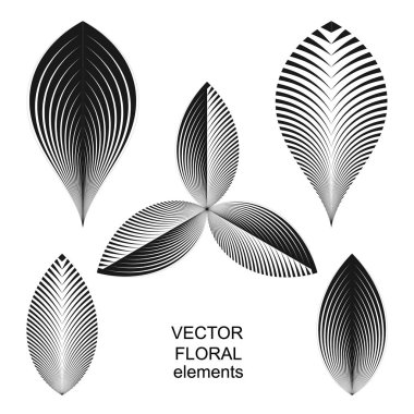 Soyut geometrik çiçek öğeler. Vektör siyah ve Beyaz yaprakları.