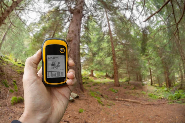 Die richtige Position im Wald über GPS finden (verschwommener Hintergrund) ) — Stockfoto
