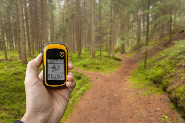 Die richtige Position im Wald über GPS finden (verschwommener Hintergrund)) — Stockfoto