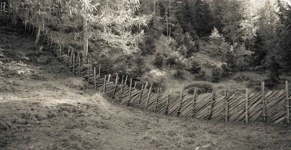 Φράχτη μέσα σε ένα τυπικό δάσος των ιταλικών Άλπεων (vintage αποτέλεσμα) — Φωτογραφία Αρχείου