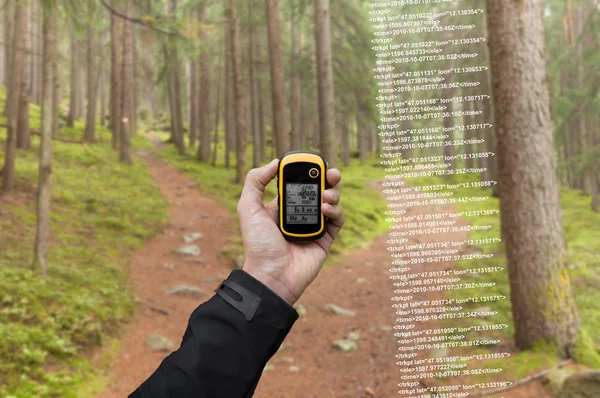 Trekker jest znalezienie odpowiedniej pozycji w lesie za pomocą gps w pochmurny, jesienny dzień — Zdjęcie stockowe
