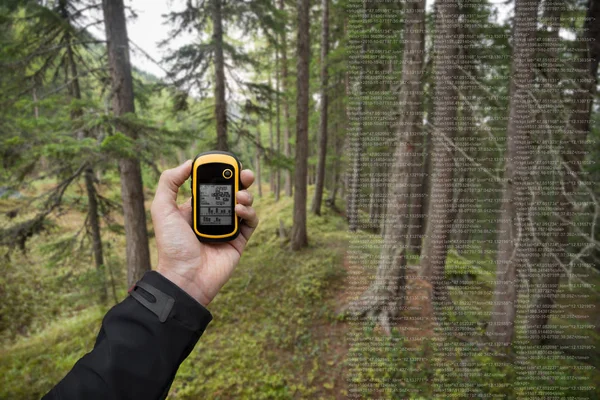 Ein Wanderer findet an einem bewölkten Herbsttag per GPS die richtige Position im Wald — Stockfoto