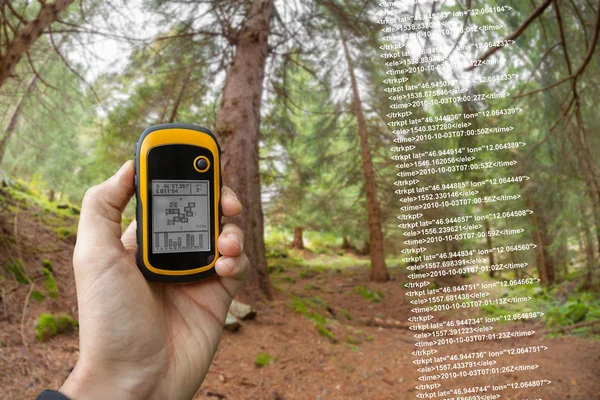 Ein Wanderer findet an einem bewölkten Herbsttag per GPS die richtige Position im Wald — Stockfoto