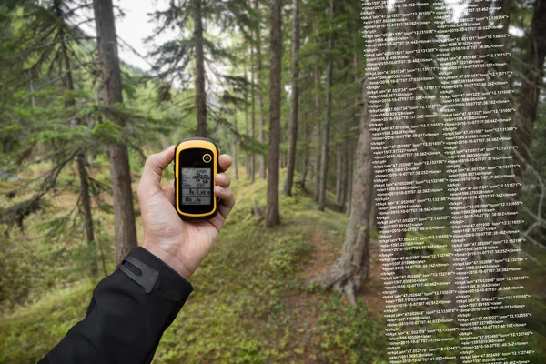 Ein Wanderer findet an einem bewölkten Herbsttag per GPS die richtige Position im Wald — Stockfoto