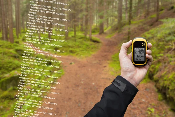 Ein Wanderer findet an einem bewölkten Herbsttag per GPS die richtige Position im Wald — Stockfoto