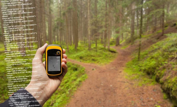 Trekker jest znalezienie odpowiedniej pozycji w lesie za pomocą gps w pochmurny, jesienny dzień — Zdjęcie stockowe