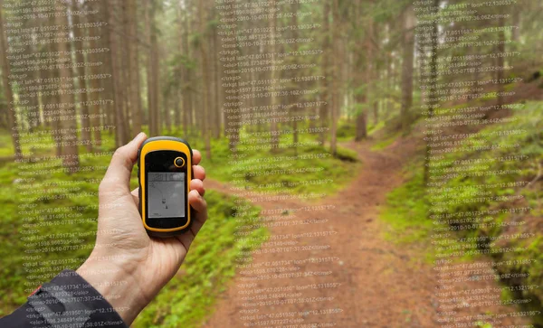 Trekker jest znalezienie odpowiedniej pozycji w lesie za pomocą gps w pochmurny, jesienny dzień — Zdjęcie stockowe