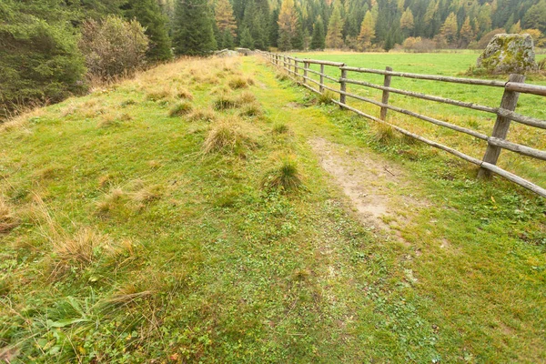 Clôture long un chemin dans une prairie de montagne — Photo