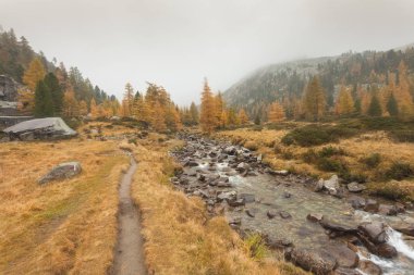 bulutlu bir günde bir dağ dere yanındaki sonbaharda, yürüyüş
