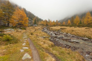 bulutlu bir günde bir dağ dere yanındaki sonbaharda, yürüyüş