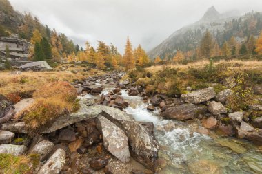 Sonbahar bir dağ dere akar