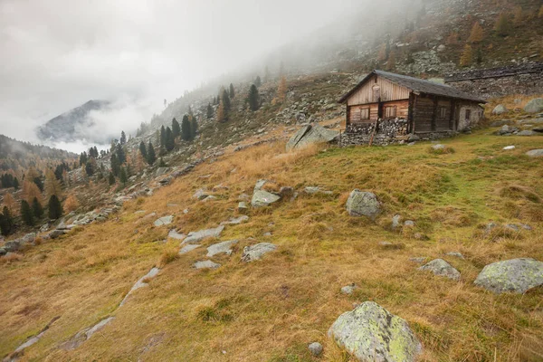 Ein geschlossener Kuhstall beim Sturz vor einer Bergwiese — Stockfoto