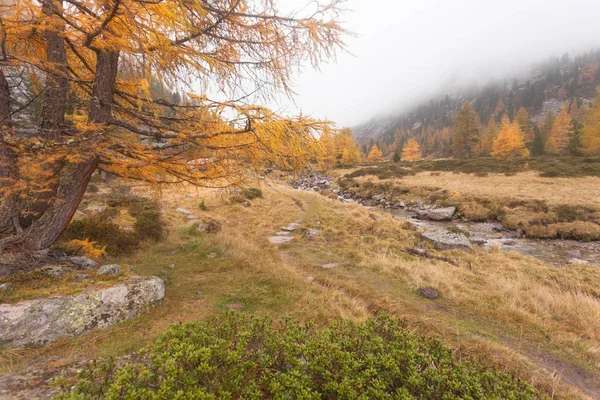 Wandelen op de daling van een bewolkte dag naast een bergbeek — Stockfoto