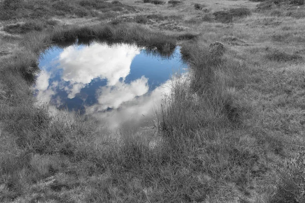 El cielo se refleja sobre un pequeño lago de montaña —  Fotos de Stock