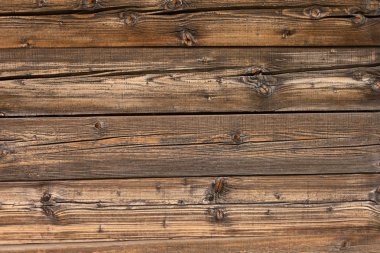 Arka plan olarak doğal çam ağacı panelleri