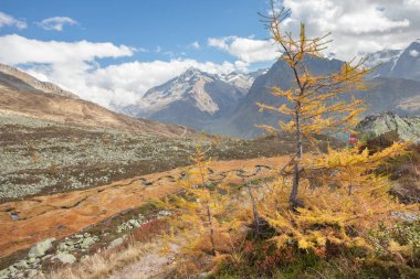 Bir nehir bir yılan gibi Ahrntal (İtalya) sonbaharda akar.