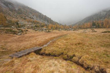 küçük sonbahar çayır uzun bir yoldaki köprü