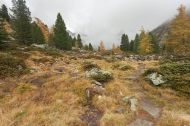 bulutlu bir günde sonbaharda adlı bir dağ vadi yürüyüş