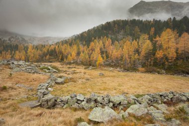 bulutlu bir günde sonbaharda adlı bir dağ vadi yürüyüş