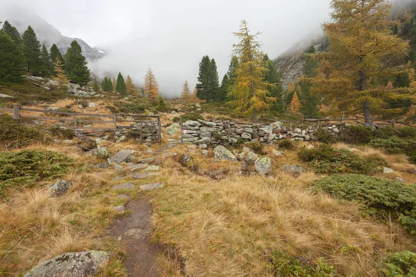 Marche à l'automne par une journée nuageuse dans une vallée de montagne — Photo