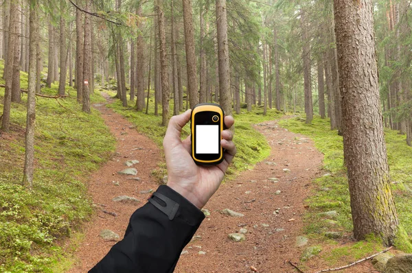 Znalezienie właściwej pozycji w lesie poprzez GPS — Zdjęcie stockowe
