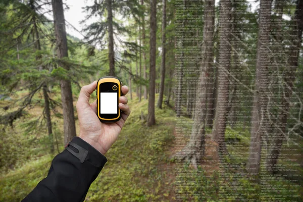 Треккер находит правильную позицию в лесу с помощью GPS в облачный осенний день — стоковое фото