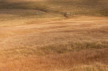 Dolomites Alp bir çayırda sonbahar manzarası