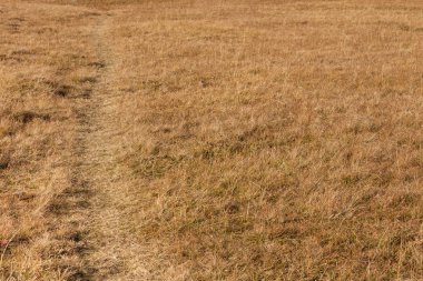 Dolomites uzun bir dağ çayır yolu tek