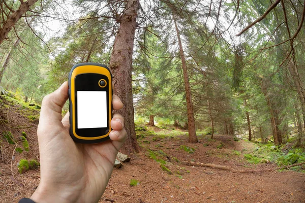 Encontrar a posição certa na floresta via gps — Fotografia de Stock