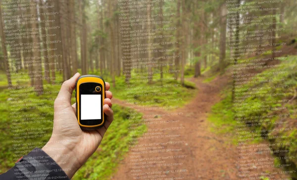 Un randonneur est de trouver la bonne position dans la forêt via gps dans une journée d'automne nuageuse — Photo