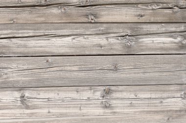 Doğal beyaz renkli çam ahşap panel arka plan olarak