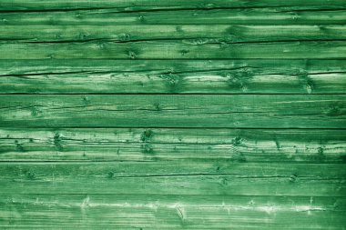 Arka plan olarak doğal yeşil renkli çam ahşap paneller