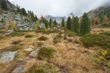 bulutlu bir günde sonbaharda adlı bir dağ vadi yürüyüş