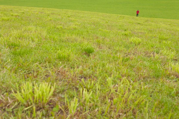 Um homem está andando sozinho em um amplo pasto de montanha verde — Fotografia de Stock