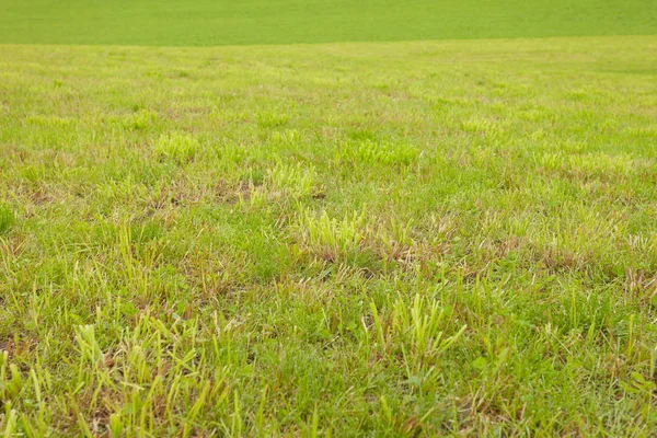 Una amplia pradera de montaña verde en Val di Funes, Italia — Foto de Stock