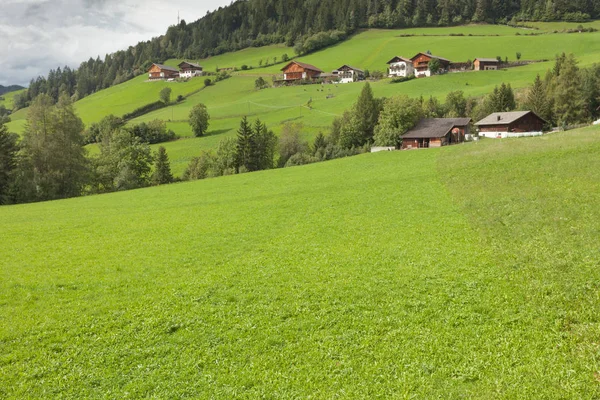 Traditionelle Häuser an einem trüben Morgen, umgeben von grüner Weide — Stockfoto