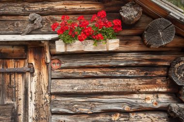 Kırmızı sardunyalar St. Magdalena Val di Funes içinde eski bir evde üzerinden bir geleneksel eski balkon detay