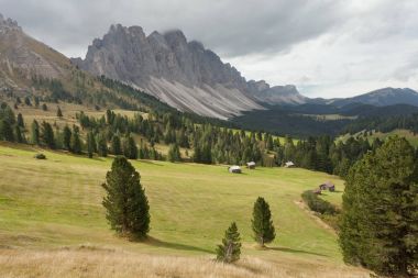 Val di Funes bir mera, sonbahar (Dolomites - O eski samanlıkta