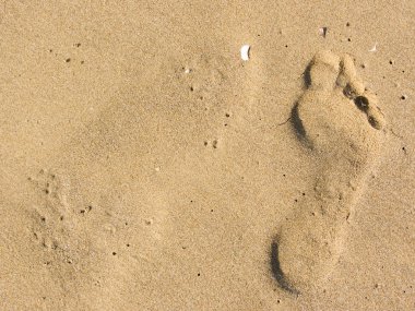 ayak izi uzun kıyı tek 