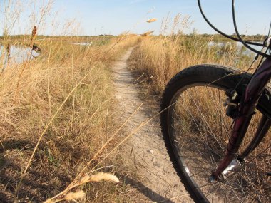Venedik lagün güneşli gün Bisiklete binme