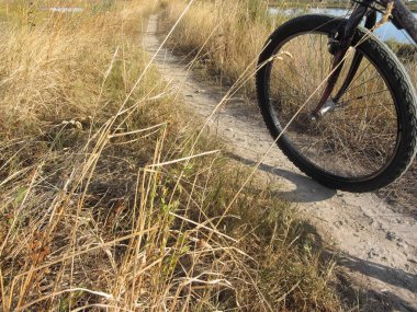 Venedik lagün güneşli gün Bisiklete binme