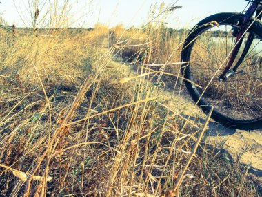 Venedik lagün güneşli gün Bisiklete binme