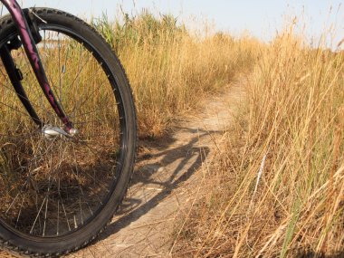 Venedik lagün güneşli gün Bisiklete binme