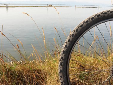 Venedik lagün güneşli gün Bisiklete binme