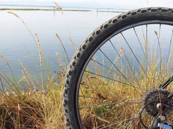 Venedik lagün güneşli gün Bisiklete binme